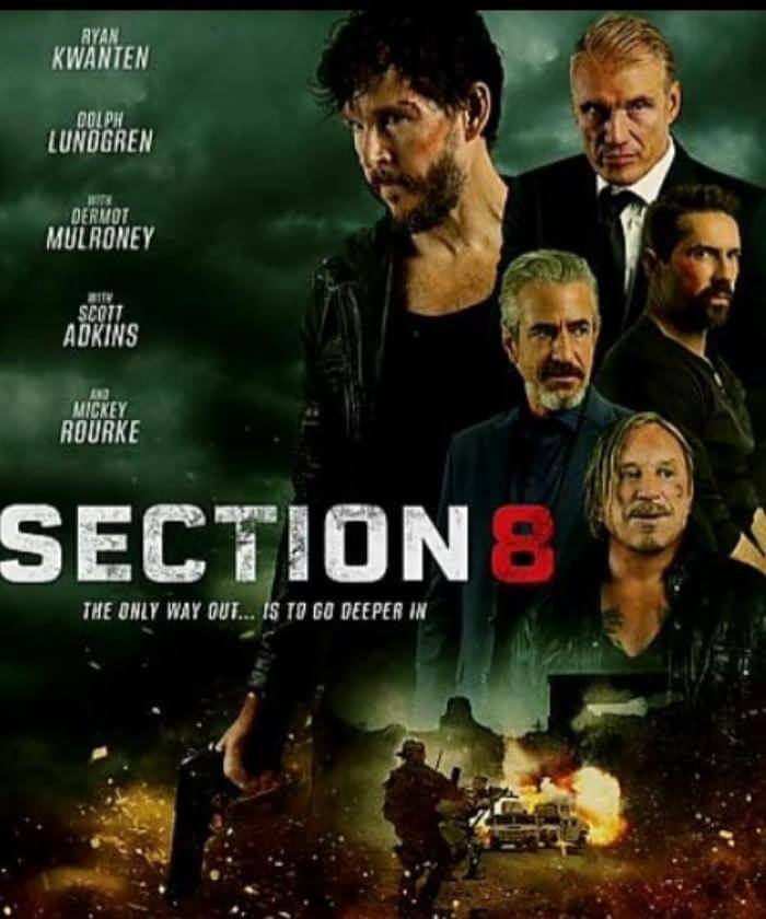 Section 8