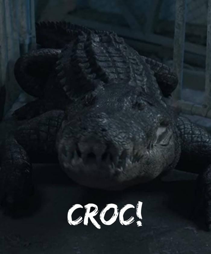 Croc!