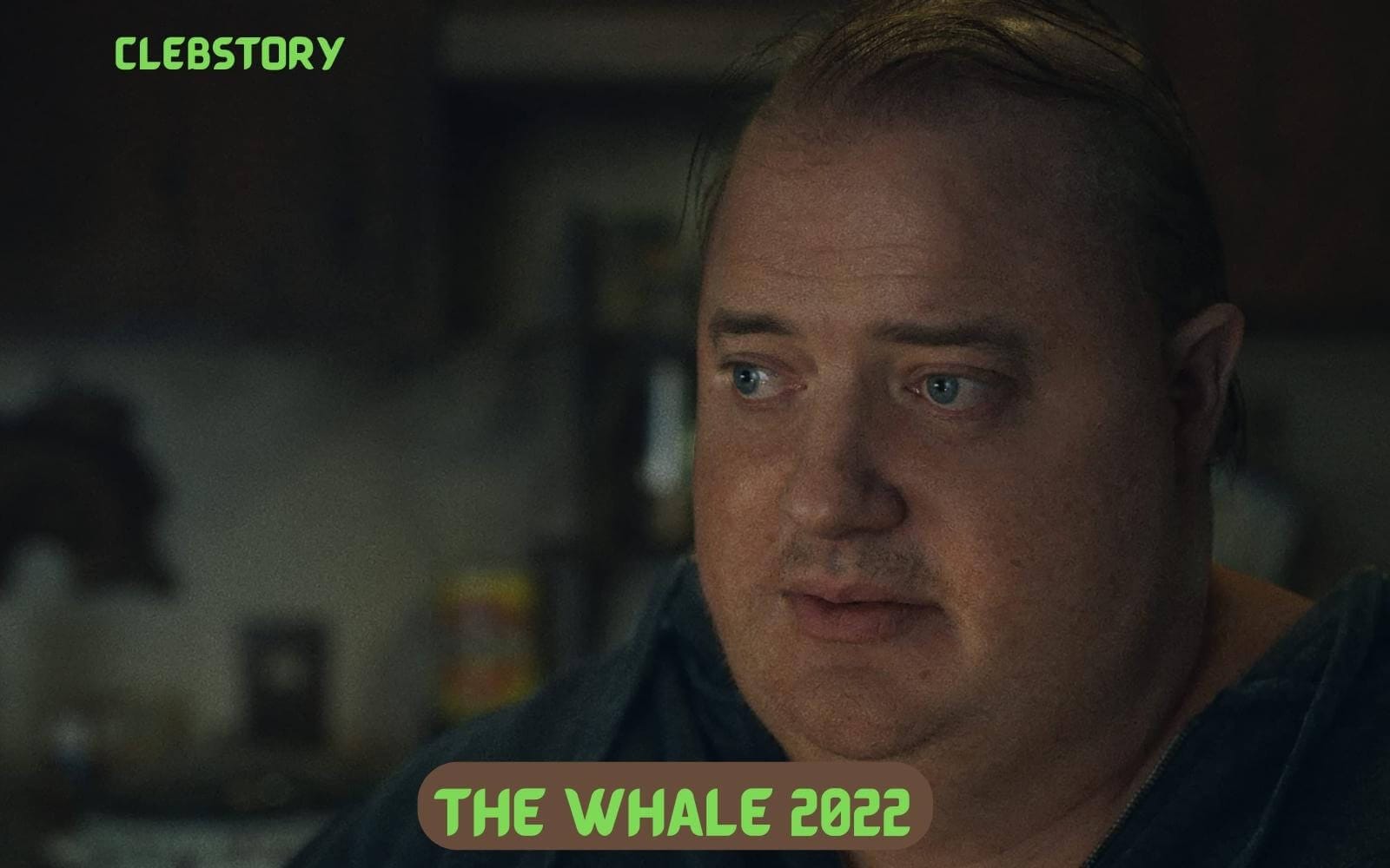 The Whale Movie Rating, Parents Guide, Review, Age Rating, Where To Watch, Cast, Release Date