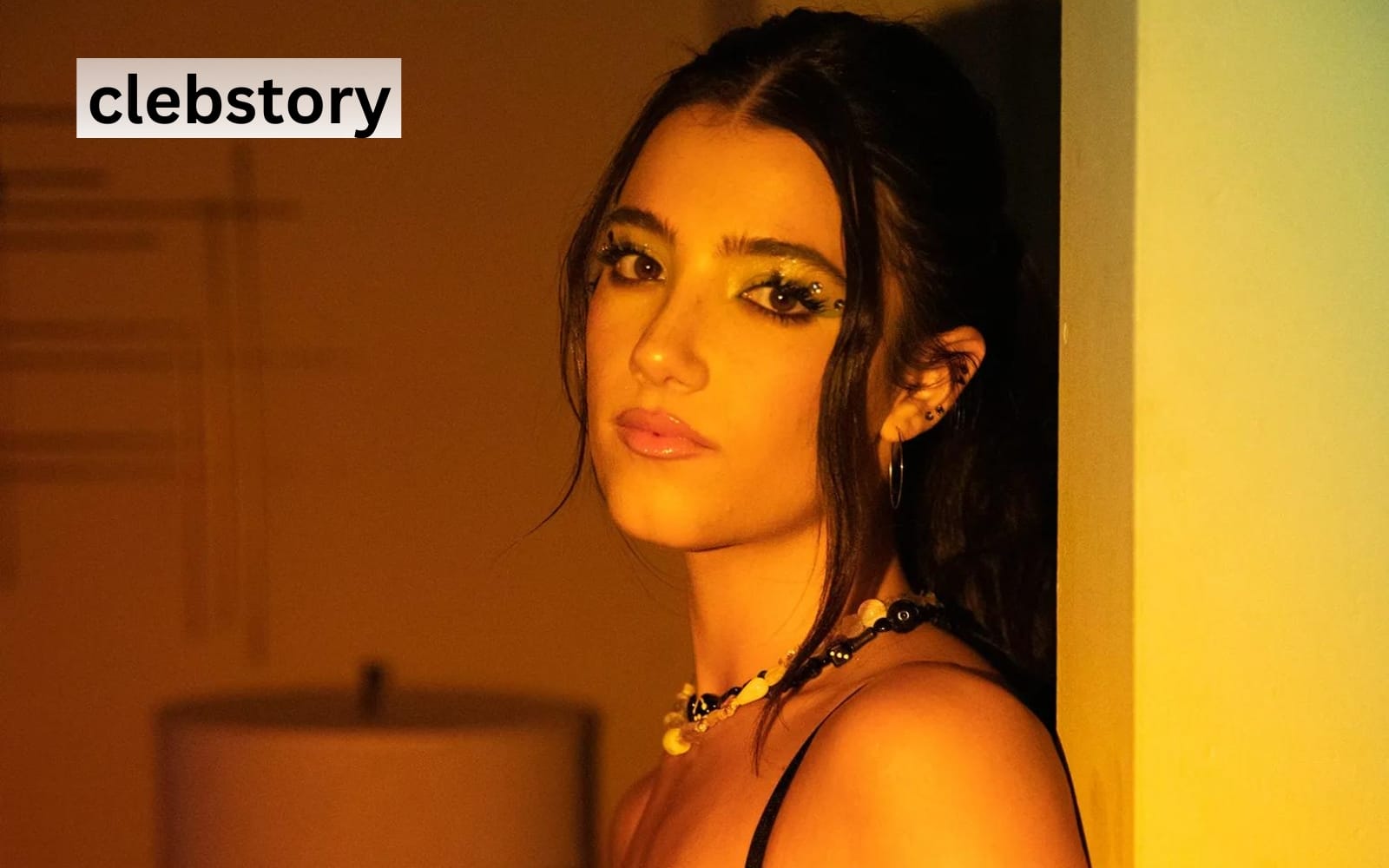 Charli D’Amelio Phone Number, House Address, Updates (2024) Clebstory