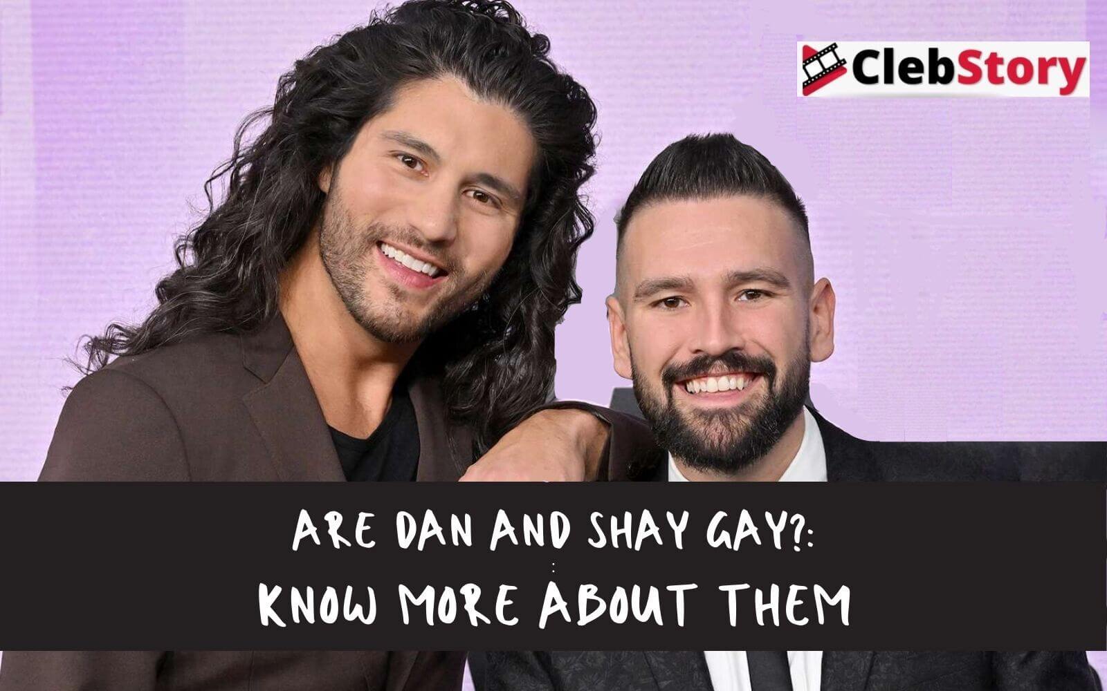 Are Dan and Shay Gay Dan and Shay Biography, Career, Relationships, Net Worth