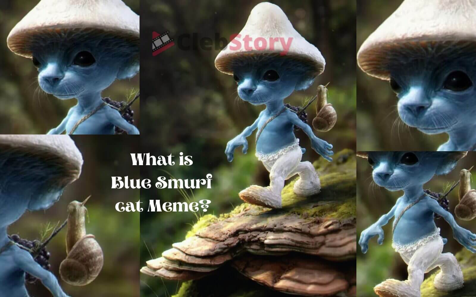 Where Do Smurfs Live In Real Life